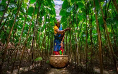 Transformando Elementos em Ouro Líquido e Sólido